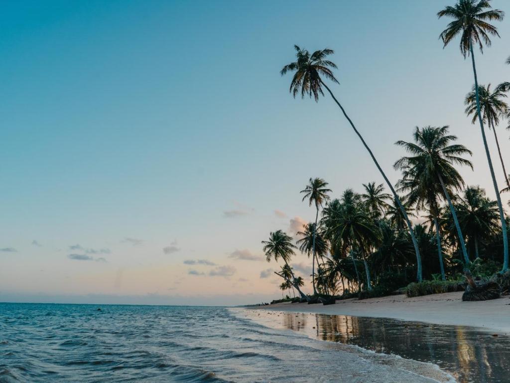 Casa Brasileira - Hotel Galeria Porto de Pedras Ngoại thất bức ảnh